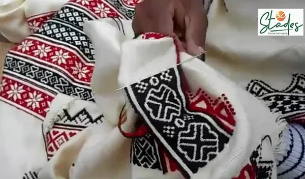 Close-up of Geographical Indication tagged Heritage embroidery, red and black thread on white cotton